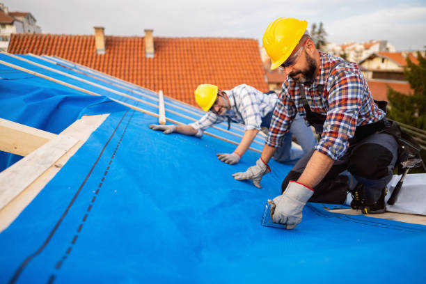 Roof Gutter Cleaning in Buffalo, NY
